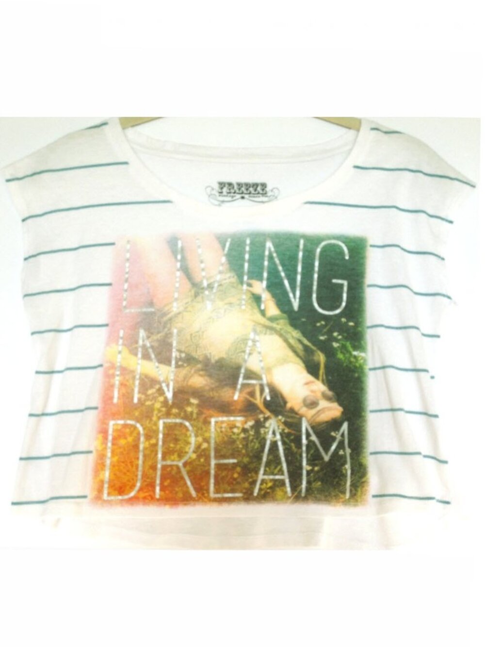 Freeze Vintage Living In A Dream Crop Top